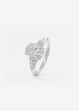 The Posie | Oval