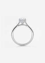 The Cathedral Hidden Halo | Oval