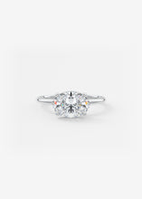 Hidden Halo E.W. | Oval