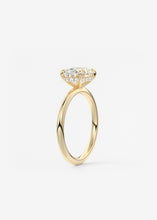 Hidden Halo E.W. | Oval