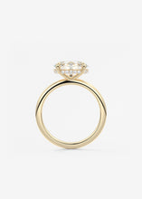 Hidden Halo E.W. | Oval