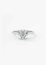The Cathedral Two Tone | Round