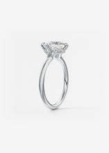 Plunge Hidden Halo | Princess