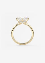 Plunge Hidden Halo | Princess