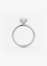Hidden Halo | Pear