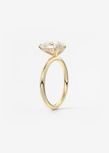 Hidden Halo | Pear