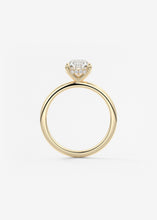 Hidden Halo | Pear