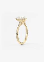 The Cathedral | Pear