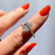 oval 4 claw prong solitaire classic frank darling engagement ring solitaire pave platinum