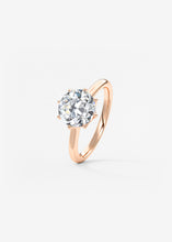 The Duchess | Round