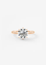 The Duchess | Round