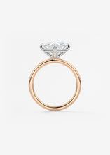 The Two Tone Kite | Princess