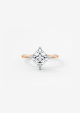 The Two Tone Kite | Princess