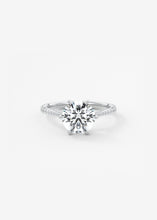 The Six Point Cathedral Pavé | Round