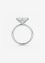 The Two Tone Kite | Princess