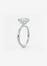 The Two Tone Kite | Princess