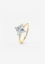 The Two Tone Kite | Princess