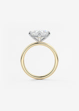The Two Tone Kite | Princess