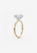 The Two Tone Kite | Princess