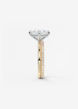 The Two Tone Kite | Princess