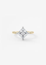 The Two Tone Kite | Princess